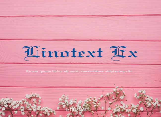 Linotext Ex example